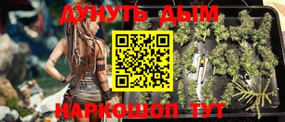 jwh Кандалакша