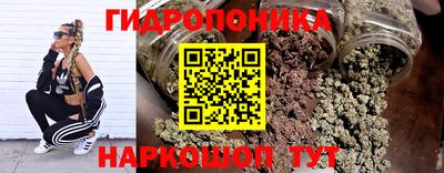 jwh Кандалакша