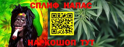 мдпв Камышлов