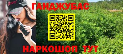 мдпв Камышлов