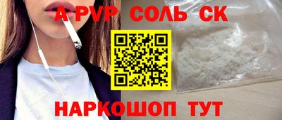мдпв Камышлов