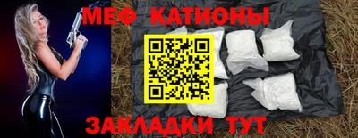 мдпв Камышлов