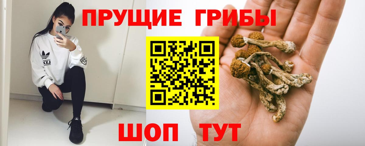 Галлюциногенные грибы мухоморы Кувандык